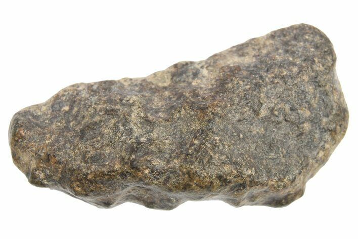 Martian Shergottite Meteorite (g) - Amgala #268600